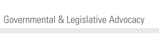 Governmental & Legislative Advocacy